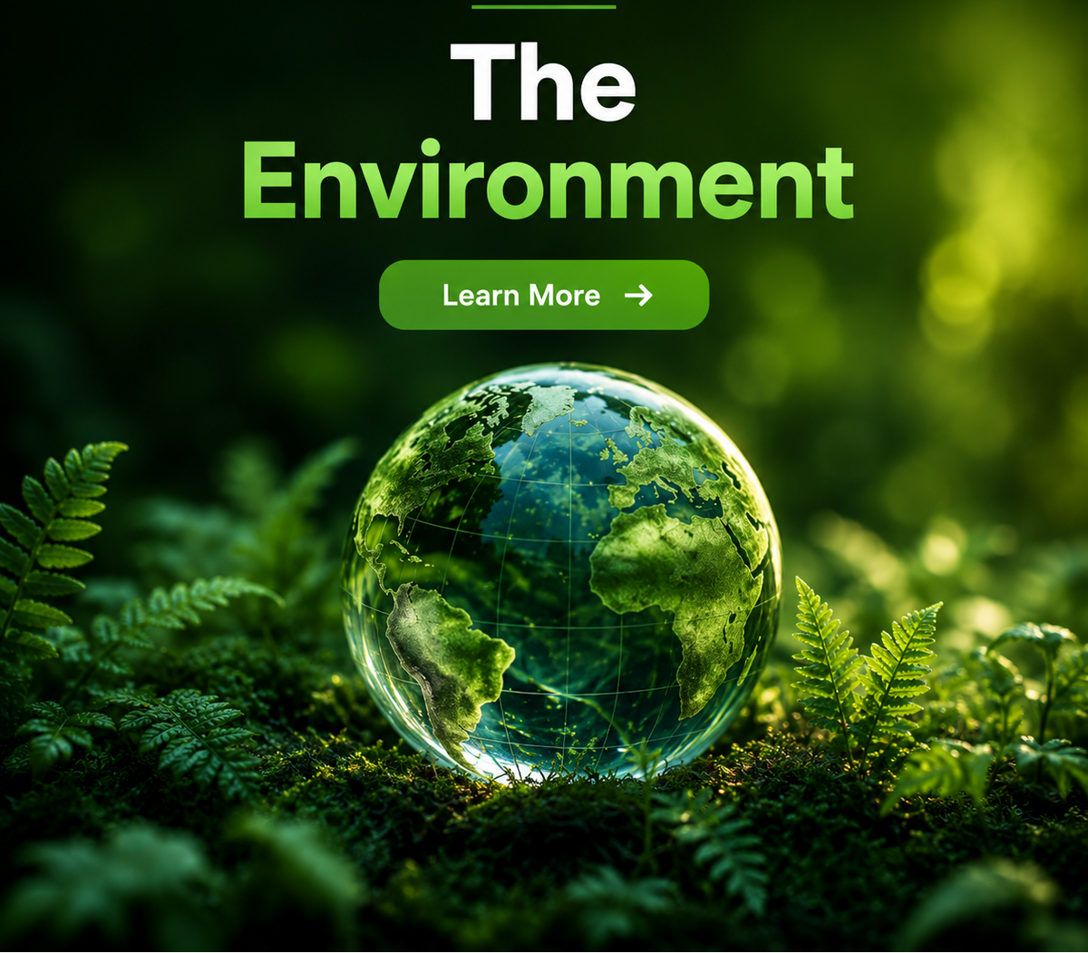 The Environment